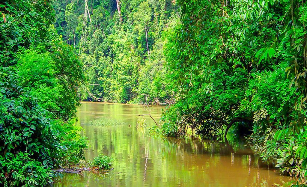 Parc National de Waka Discover Afrika