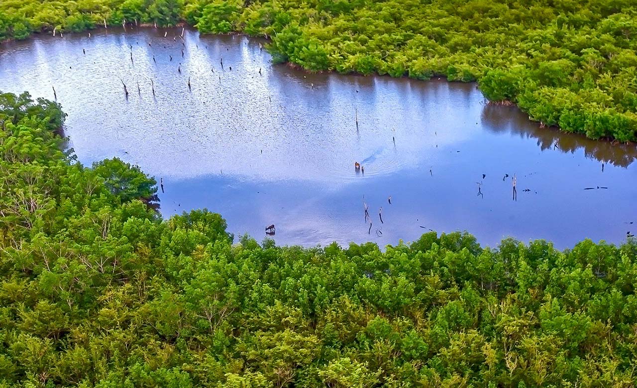 Parc national d'Akanda