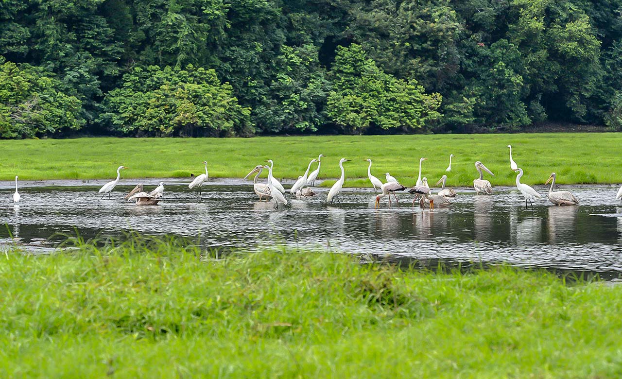 Parc national d'Akanda